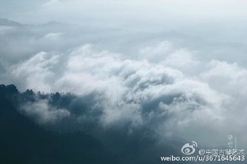 东峰亭各赋一物得临轩桂