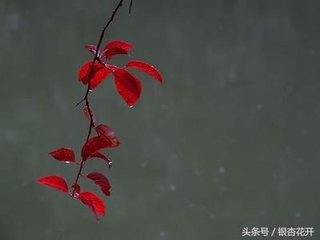 秋夜对雨寄石瓮寺二秀才