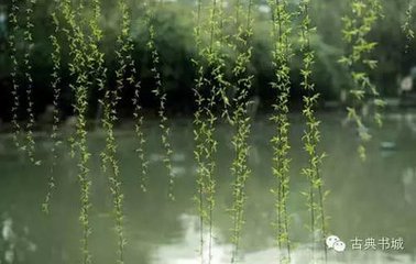 杨柳词