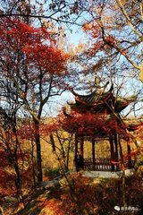 游栖霞四首