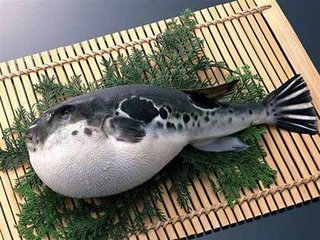 寿刘宰