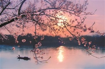 小舟晚归