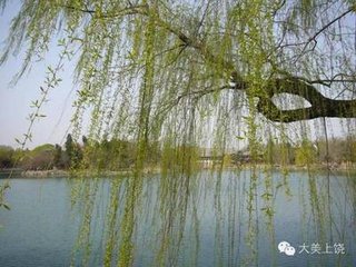 鹧鸪天 黄沙道中即事