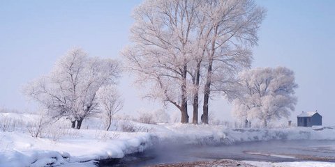 南乡子·冰雪透香肌