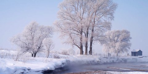 南乡子·冰雪透香肌