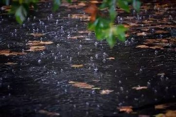 秋雨渐凉有怀兴元