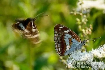 蝶恋花·天色沈沈云色赭