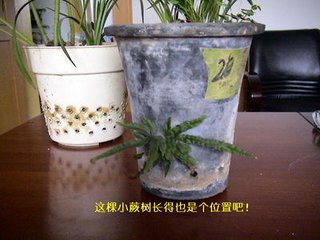 和武相锦楼玩月得浓字（时为西川营田副使）