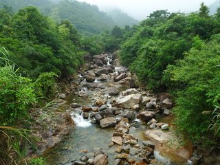 顺师归湖寺后以诗见招因戏答之