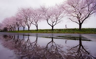 望海潮·轻云过雨