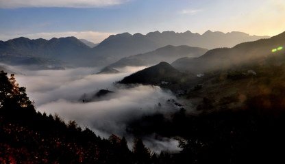 题宗上人旧院