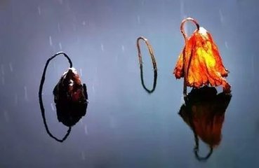 秋分后十日得暴雨