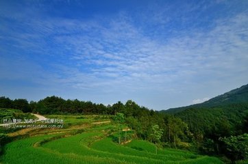 送郑大台文南觐