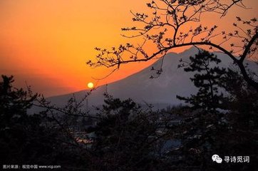 水调歌头·落日古城角