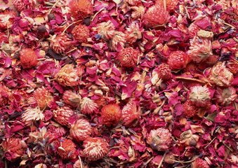 崔元受少府自贬所还，遗山姜花，以诗答之