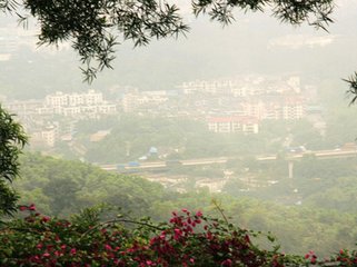 雨中遣怀