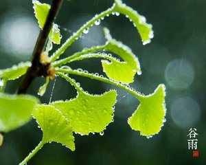 出行湖山间杂赋