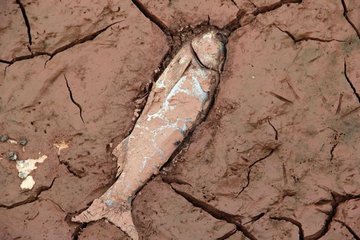 濠水累年不泄鱼既牣每触热辄死余既浚治市河