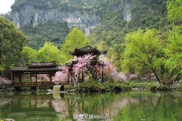 和子进千春院观桃花二首