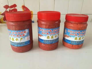 游土山示蔡天启秘校