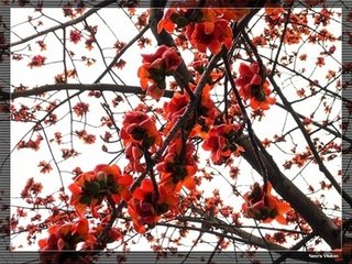 自君之出矣（一作贾冯吉诗）