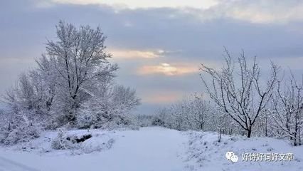 依韵奉和司徒侍中春雪