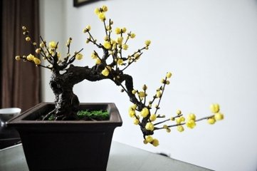 陈诚之以长句送扬州花仍催践快阁之约戏答