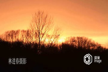 惜花寄孙员外（一本缺孙字）