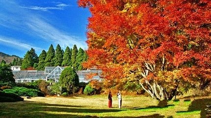 宿庐山，赠白鹤观刘尊师