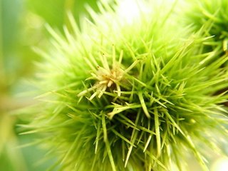 别崔潩因寄薛据、孟云卿（内弟潩赴湖南幕职