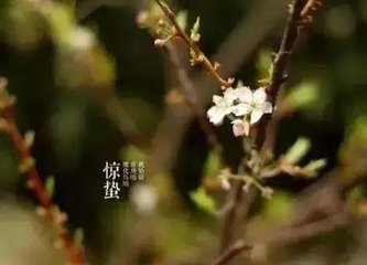 惊蛰后雪访徐孟坚不遇坐待甚久