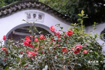 福州堂下小栏花卉多是手栽今已繁盛因赏花有