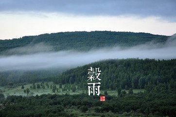 寄题纵上人院