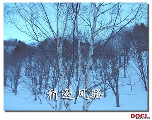 沁园春·我试评君