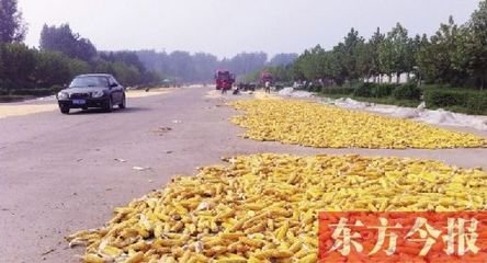 于中好·谁道阴山行路难