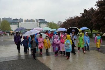 雨中看牡丹三首