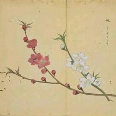 蝶恋花·暖雨晴风初破冻