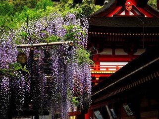 满江红·弧矢开祥