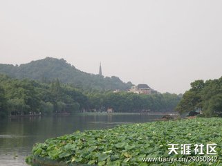 钱塘别诸同年