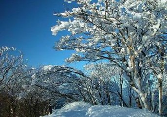 雪中过重湖信笔偶题