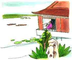 鹧鸪天·游鹅湖醉书酒家壁