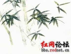 郡斋左偏栽竹百余竿，炎凉已周，青翠不改，