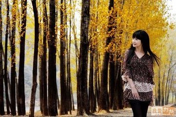 偶作因怀山中道侣