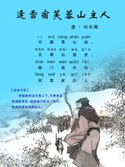 逢雪宿芙蓉山主人