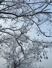 缑山月 雨夕