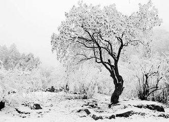 重戏和春雪寄沈员外