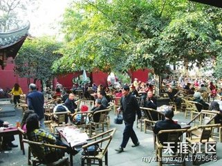 饭昭觉寺抵暮乃归