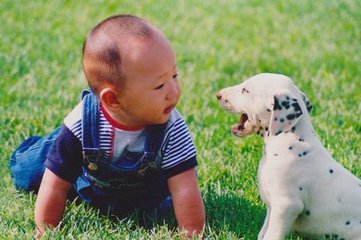 题友人郊居水轩