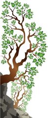 萧八明府堤处觅桃栽