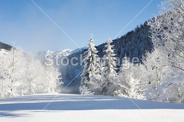 山中醮后一日雪仍留山中雾雨溟濛混然如一气